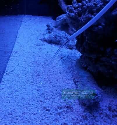 2012-08-19 21.56.30.jpg