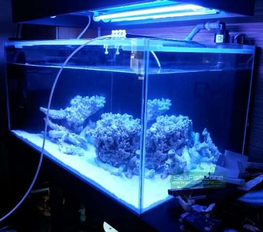 2012-08-20 09.29.08.jpg