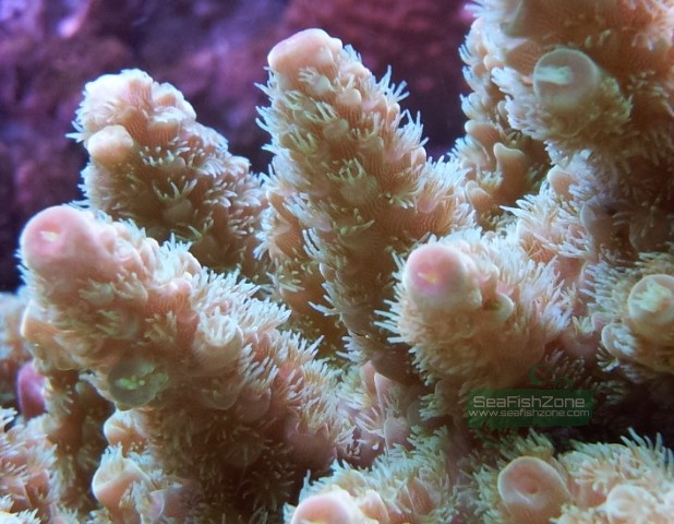 20121031_202759.jpg