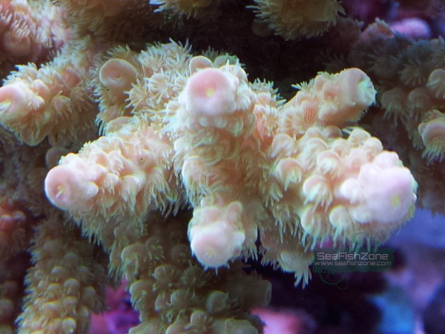 20121031_202842.jpg