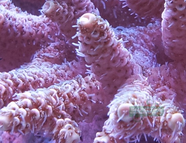 20121031_202925.jpg
