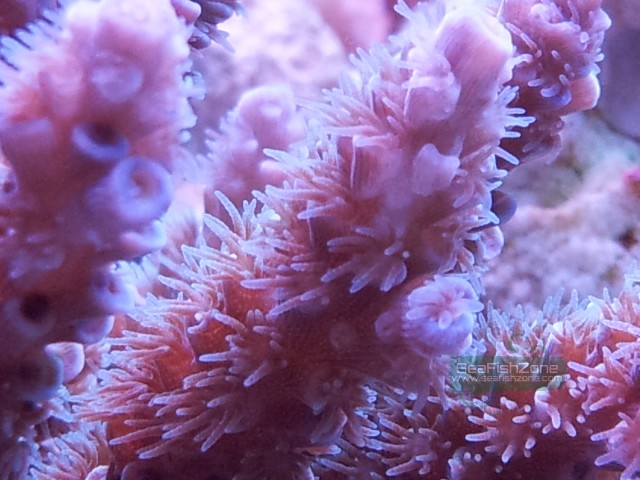 20121031_203047.jpg