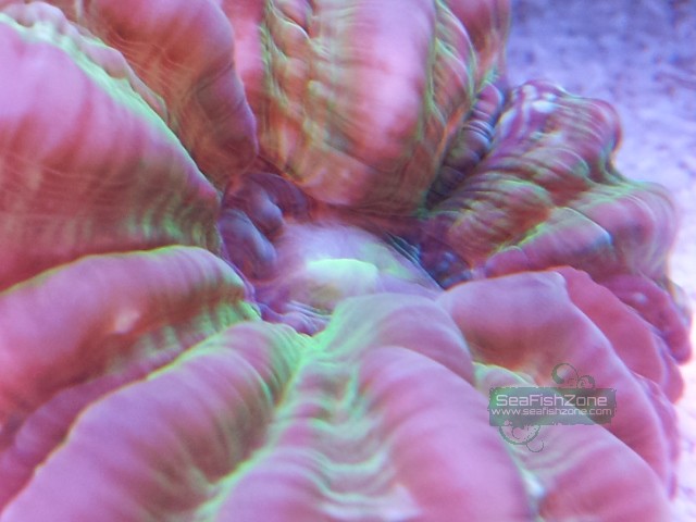 20121031_203500.jpg