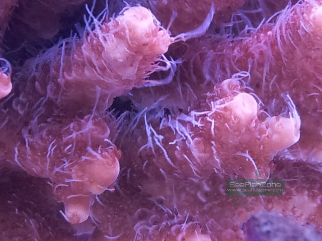 20121031_203029.jpg