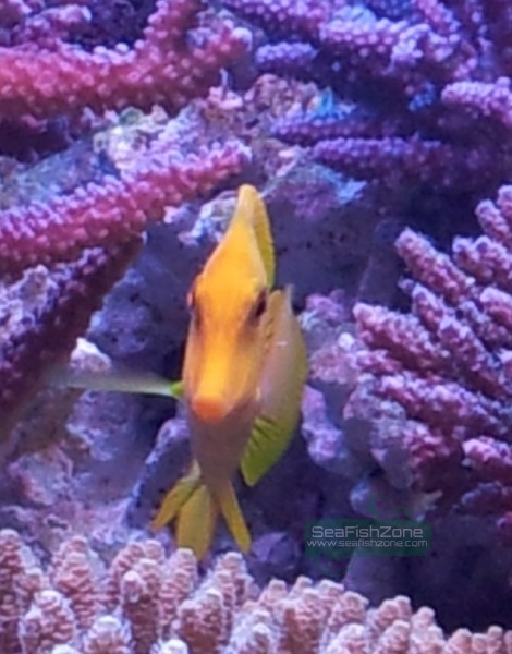 20121031_223654.jpg