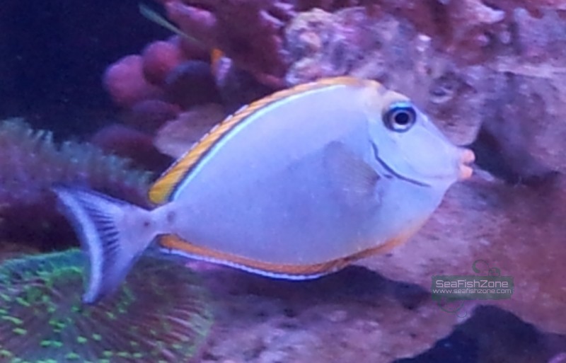 20121031_223907.jpg