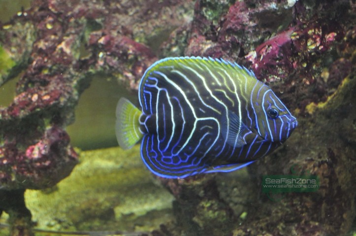 rsz_dsc_0057.jpg